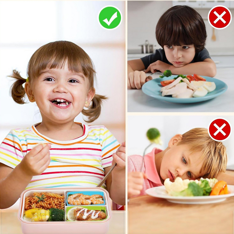 8 szt. Silikonowe przegródki d – Kids Education School recenzja i cena