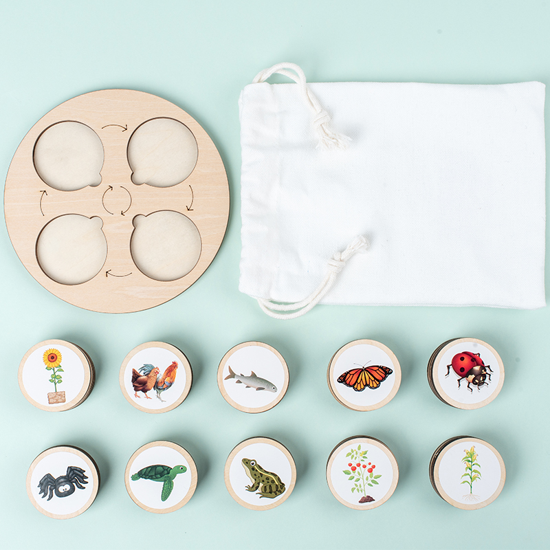 Tablica Cyklu Życia Zestaw Mon – Montessori Shelf Toy recenzja i cena